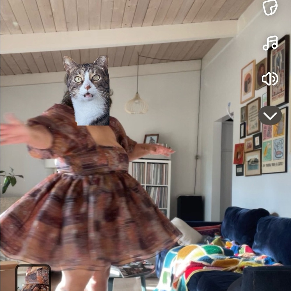Selkie Multicolor Cat Costume Dress